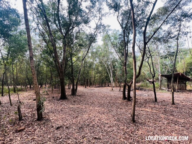 Nopawong Park Forest Studio - Pathum Thani, Thailand Filming Location