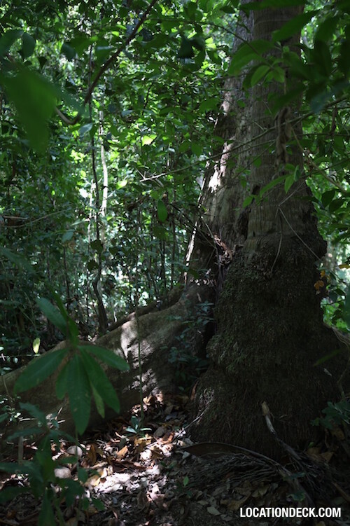 Koh Lun Island - Phuket, Thailand Filming Location