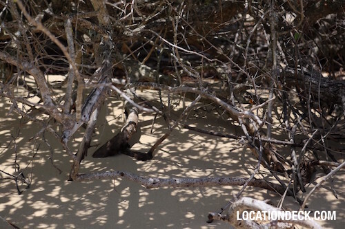 Koh Lun Island - Phuket, Thailand Filming Location