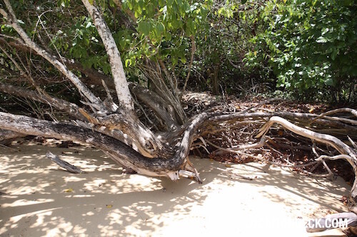 Koh Lun Island - Phuket, Thailand Filming Location
