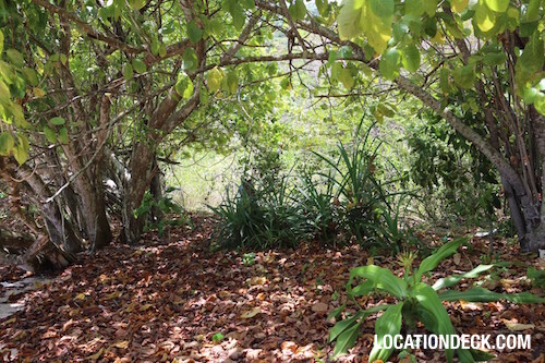 Koh Lun Island - Phuket, Thailand Filming Location