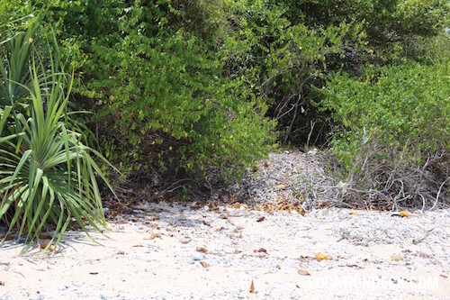 Koh Lun Island - Phuket, Thailand Filming Location