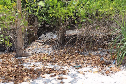 Koh Lun Island - Phuket, Thailand Filming Location