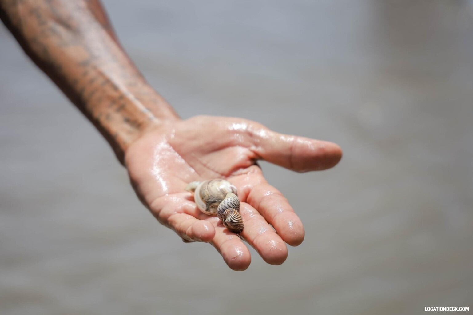 CLAM FARM - Samut Songkhram, Thailand Filming Location