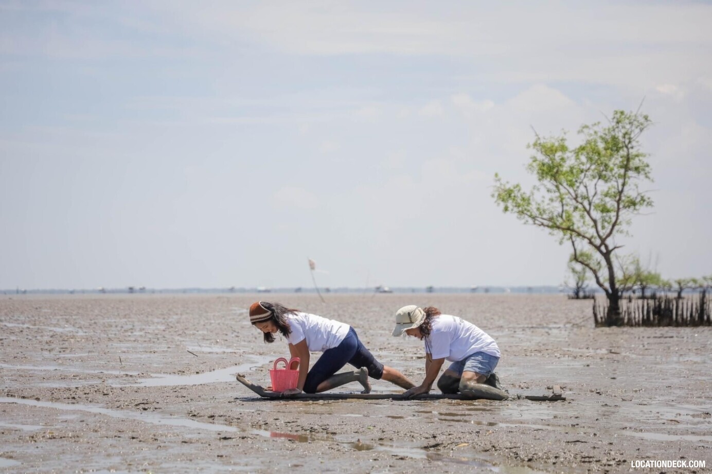 CLAM FARM - Samut Songkhram, Thailand Filming Location