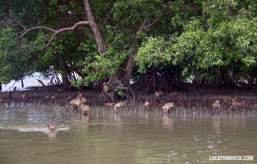 CLAM FARM - Samut Songkhram, Thailand Filming Location