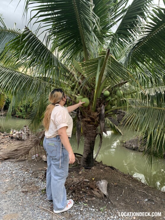 Coconut Plantation - Nakhon Pathom, Thailand Filming Location