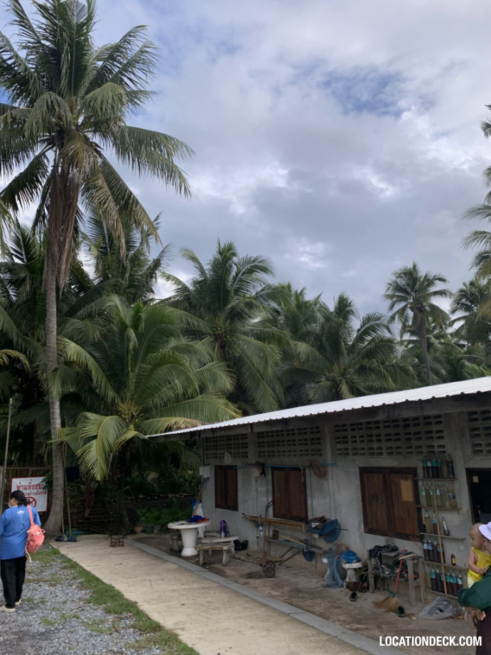 Coconut Plantation - Nakhon Pathom, Thailand Filming Location