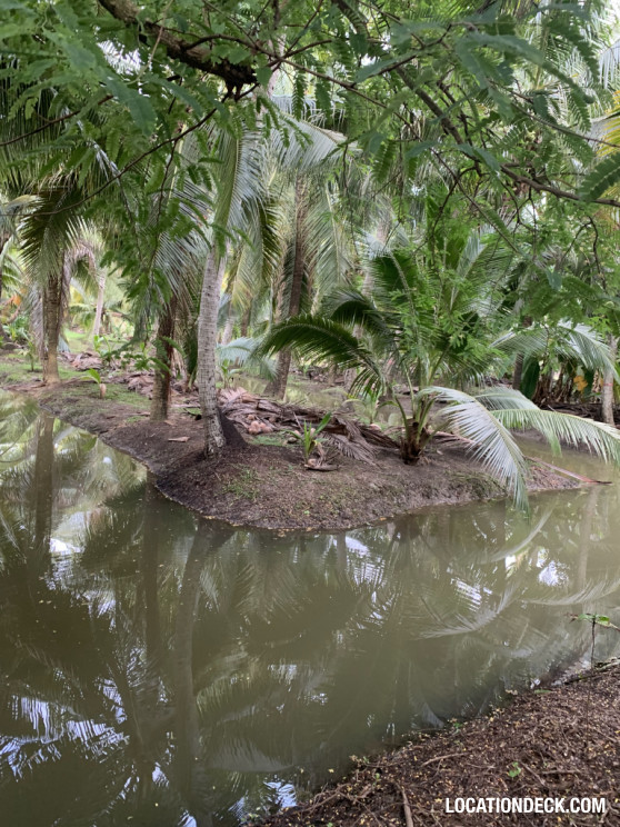 Coconut Plantation - Nakhon Pathom, Thailand Filming Location