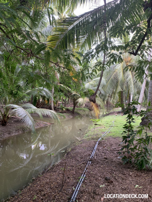 Coconut Plantation - Nakhon Pathom, Thailand Filming Location