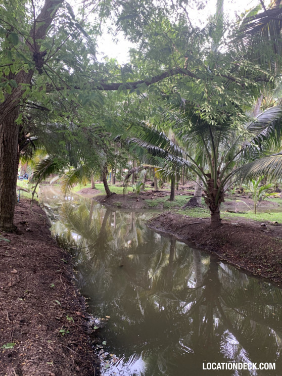 Coconut Plantation - Nakhon Pathom, Thailand Filming Location