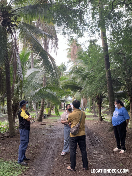 Coconut Plantation - Nakhon Pathom, Thailand Filming Location