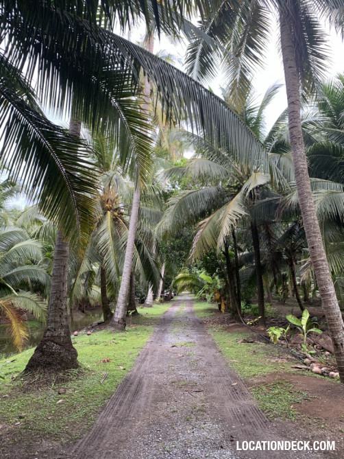 Coconut Plantation - Nakhon Pathom, Thailand Filming Location