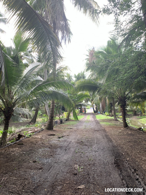 Coconut Plantation - Nakhon Pathom, Thailand Filming Location
