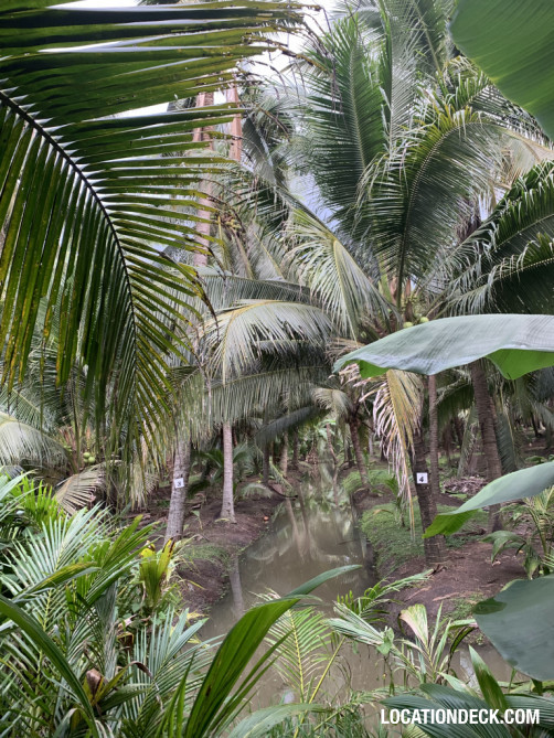 Coconut Plantation - Nakhon Pathom, Thailand Filming Location