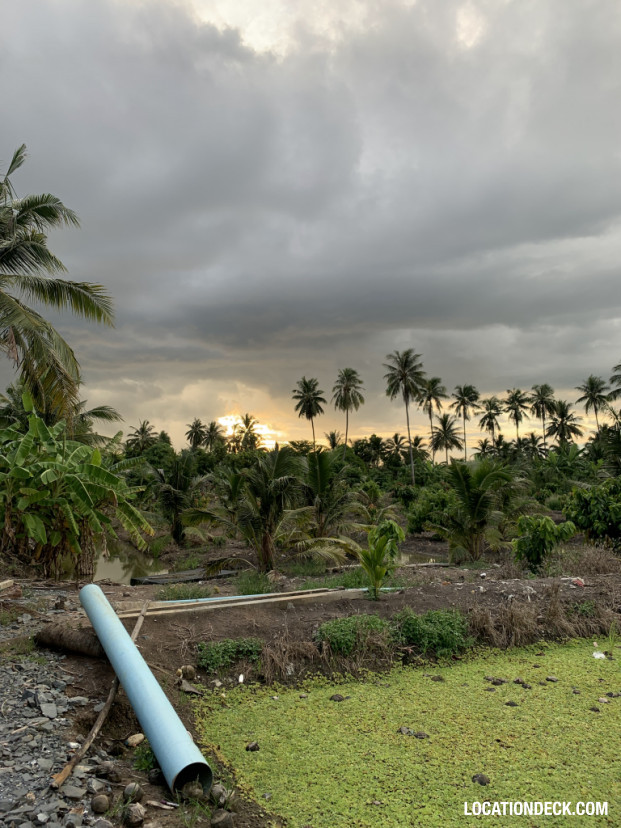 Coconut Plantation - Nakhon Pathom, Thailand Filming Location