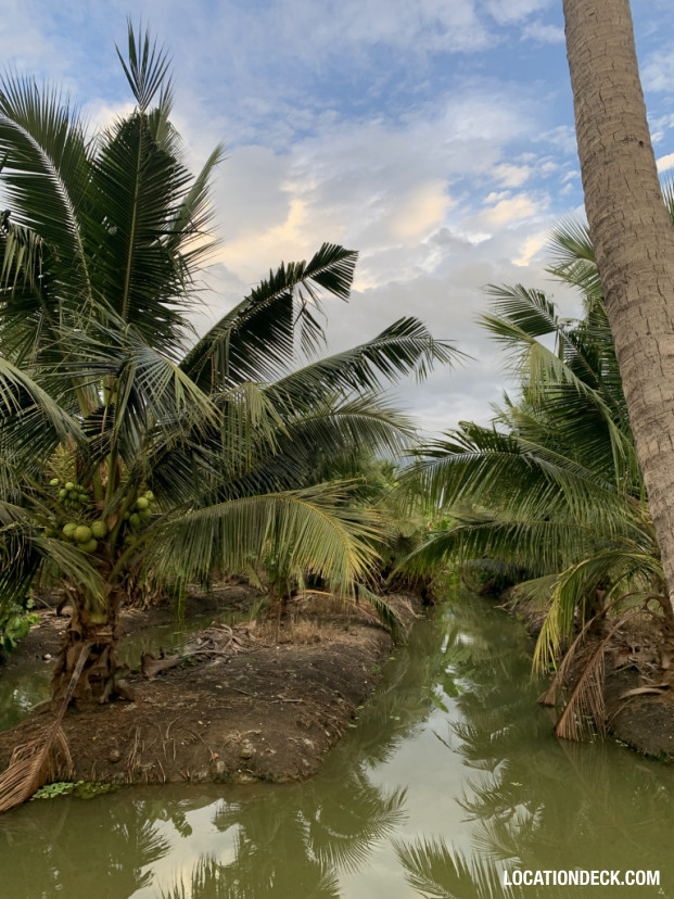 Coconut Plantation - Nakhon Pathom, Thailand Filming Location
