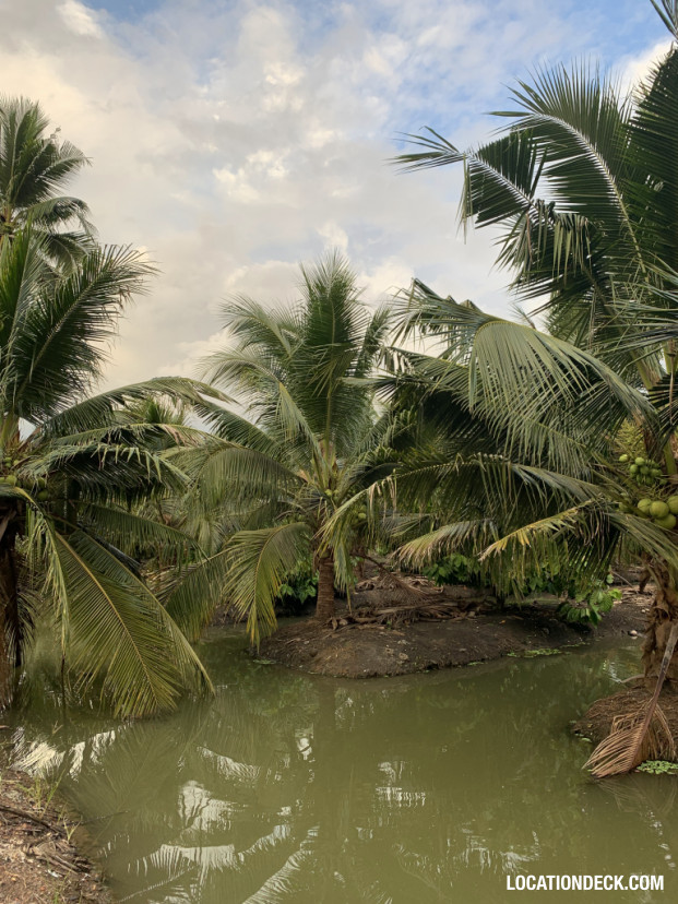 Coconut Plantation - Nakhon Pathom, Thailand Filming Location