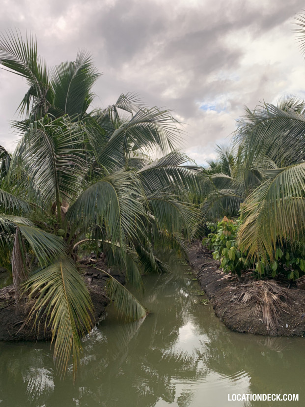 Coconut Plantation - Nakhon Pathom, Thailand Filming Location