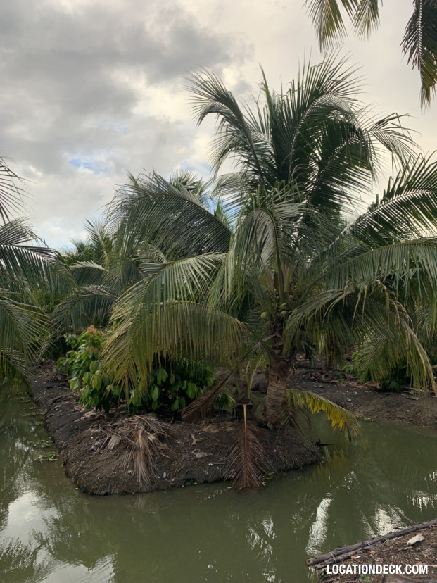 Coconut Plantation - Nakhon Pathom, Thailand Filming Location