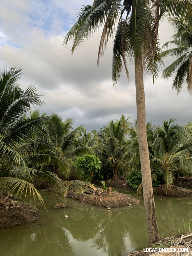 Coconut Plantation - Nakhon Pathom, Thailand Filming Location