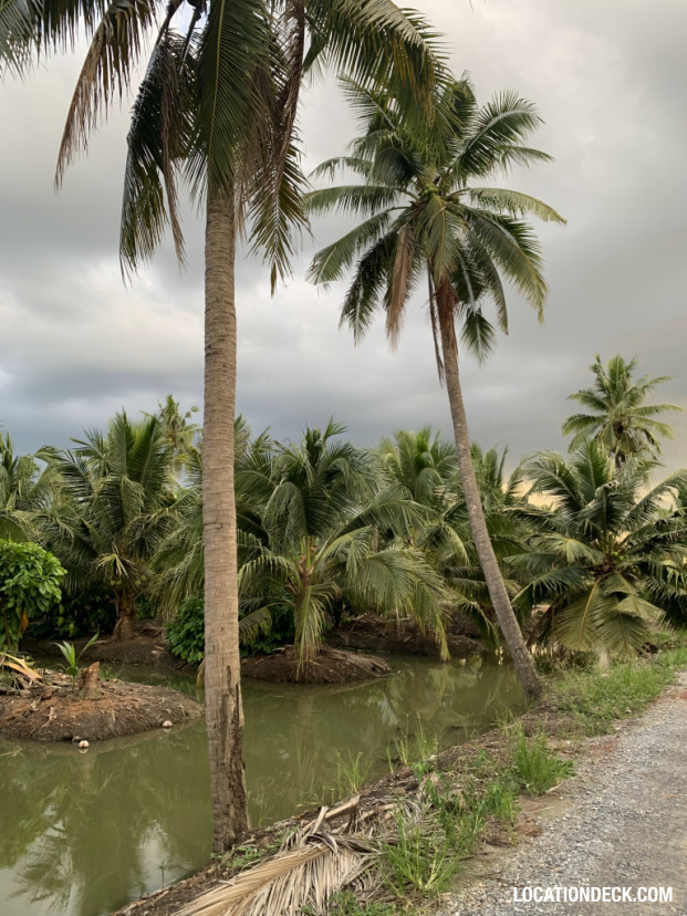 Coconut Plantation - Nakhon Pathom, Thailand Filming Location