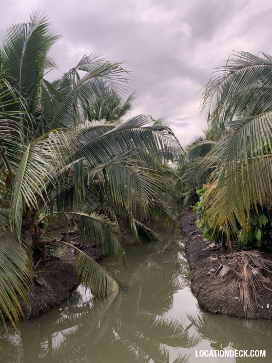 Coconut Plantation - Nakhon Pathom, Thailand Filming Location
