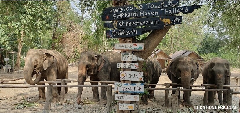 Elephant World - Kanchanaburi, Thailand Filming Location