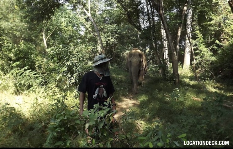 Elephant World - Kanchanaburi, Thailand Filming Location