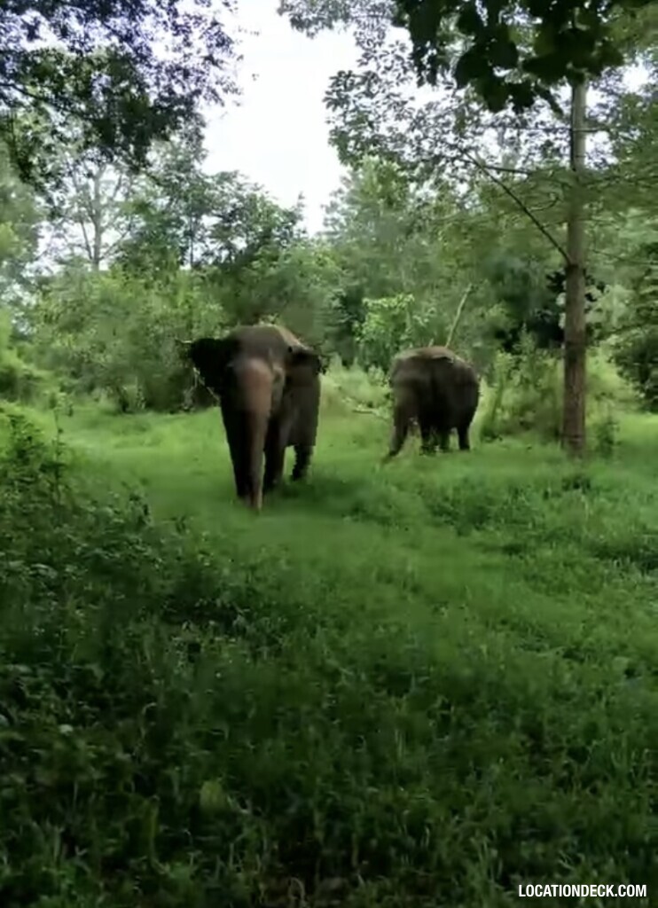 Elephant World - Kanchanaburi, Thailand Filming Location