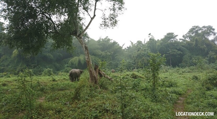Elephant World - Kanchanaburi, Thailand Filming Location