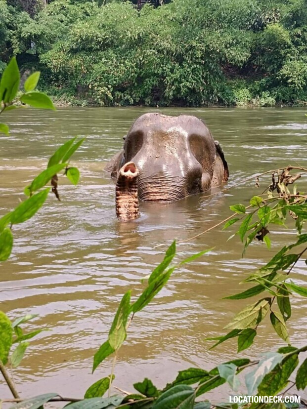 Elephant World - Kanchanaburi, Thailand Filming Location