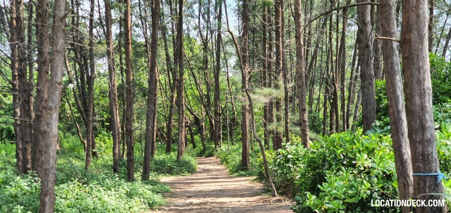 Sai Kaew Beach - Chonburi, Thailand Filming Location