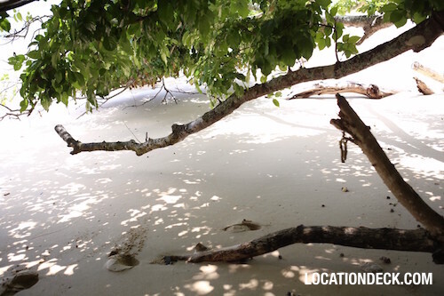Ko Lan Island - Pattaya, Thailand Filming Location