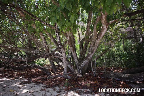 Ko Lan Island - Pattaya, Thailand Filming Location