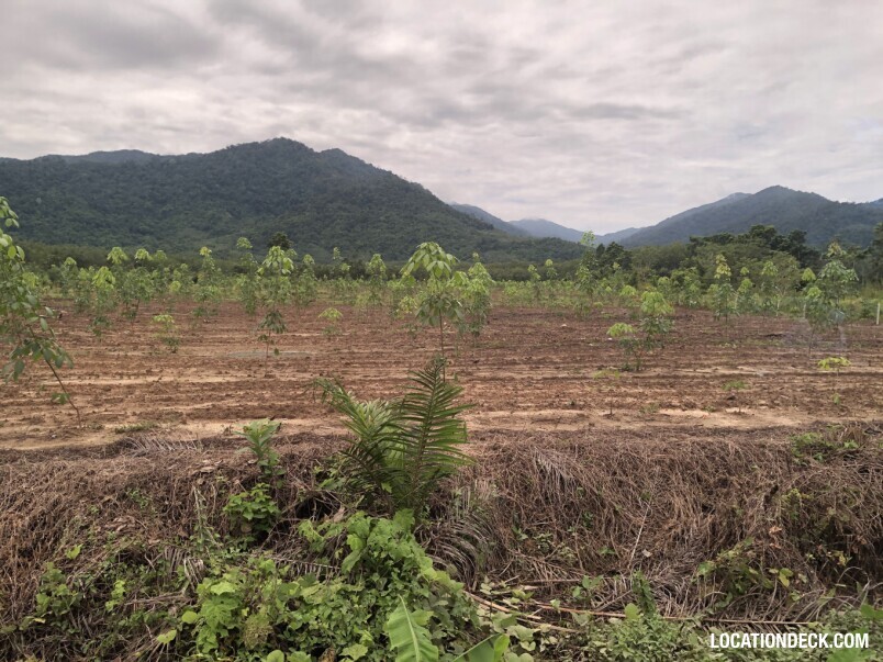 Maniq Tribes Forests - Satun, Thailand Filming Location