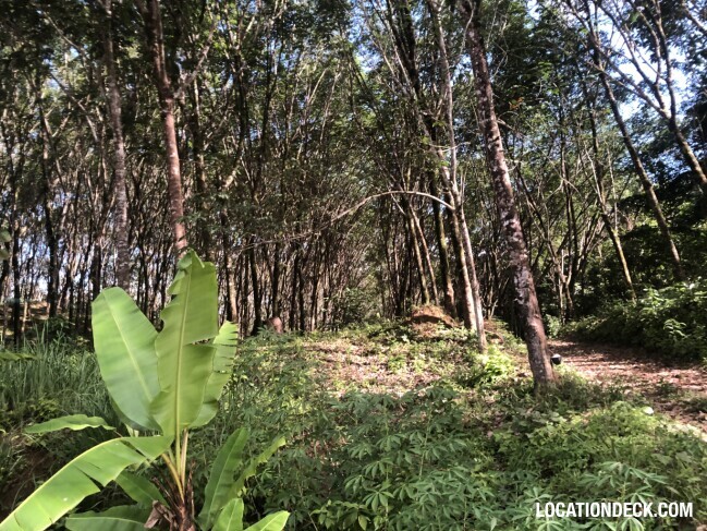 Maniq Tribes Forests - Satun, Thailand Filming Location