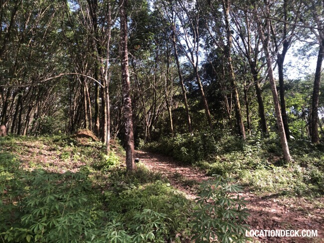 Maniq Tribes Forests - Satun, Thailand Filming Location