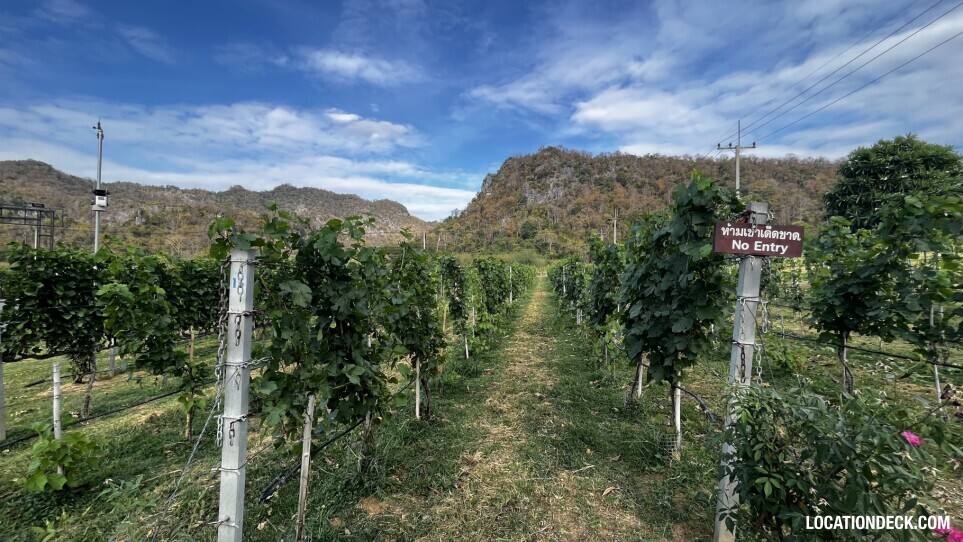 GranMonte Vineyard and Winery - Saraburi, Thailand Filming Location
