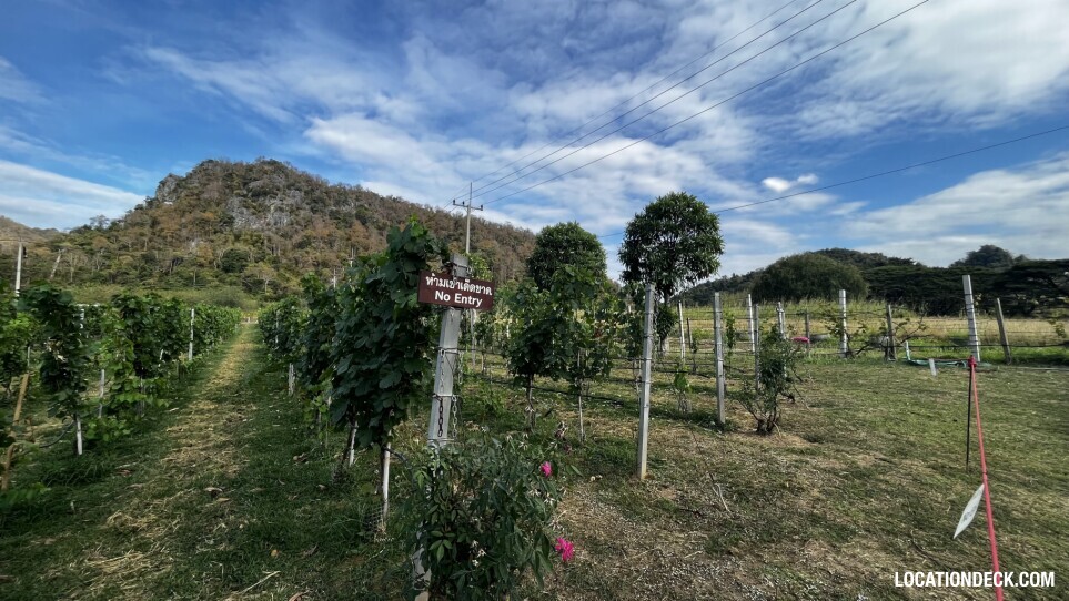 GranMonte Vineyard and Winery - Saraburi, Thailand Filming Location