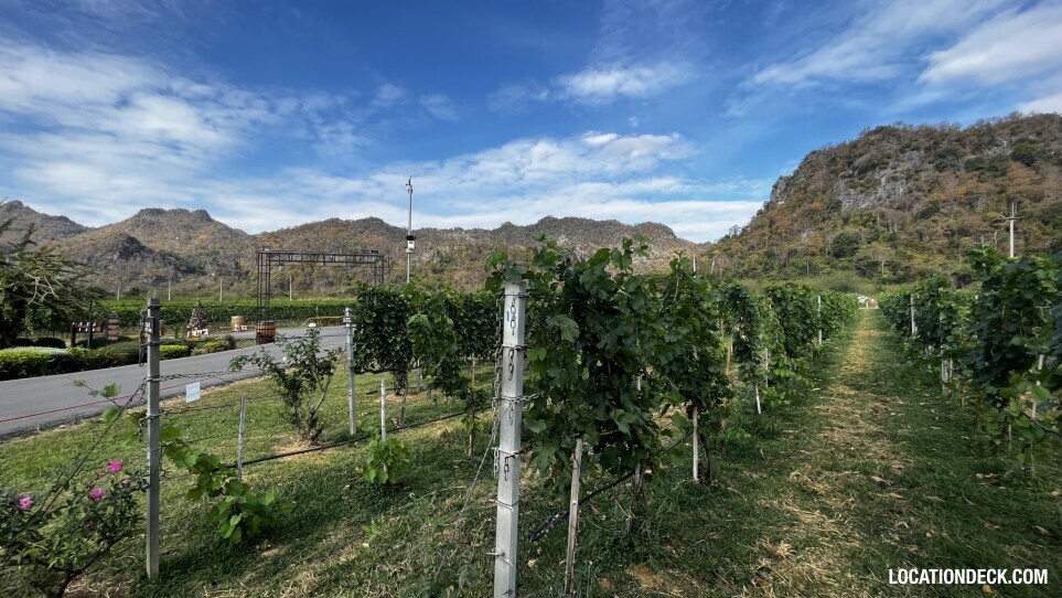 GranMonte Vineyard and Winery - Saraburi, Thailand Filming Location