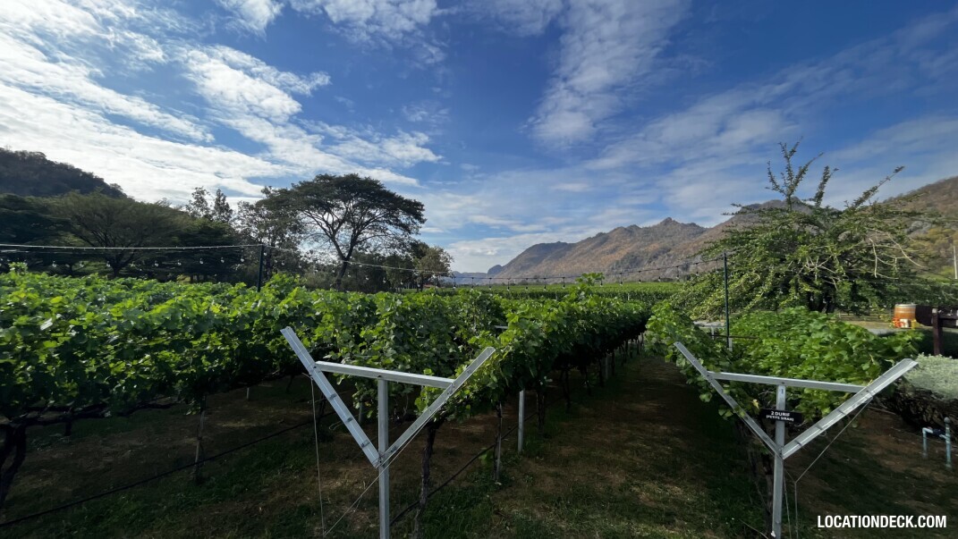 GranMonte Vineyard and Winery - Saraburi, Thailand Filming Location