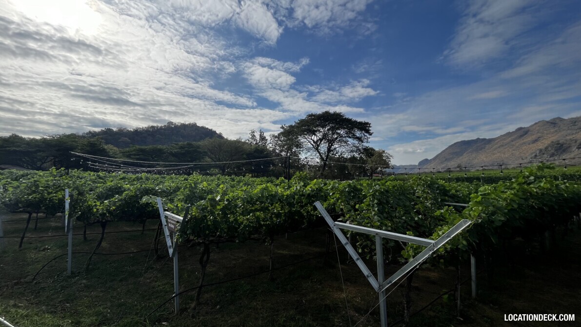 GranMonte Vineyard and Winery - Saraburi, Thailand Filming Location