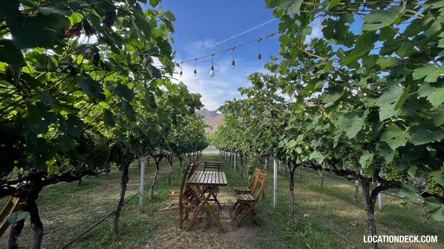 GranMonte Vineyard and Winery - Saraburi, Thailand Filming Location