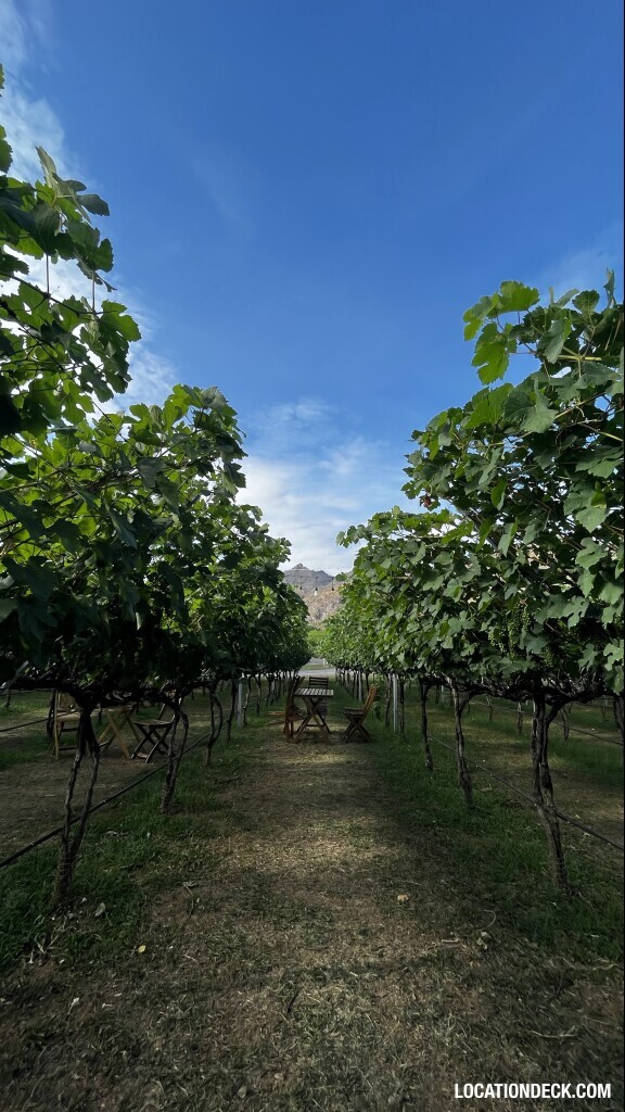GranMonte Vineyard and Winery - Saraburi, Thailand Filming Location