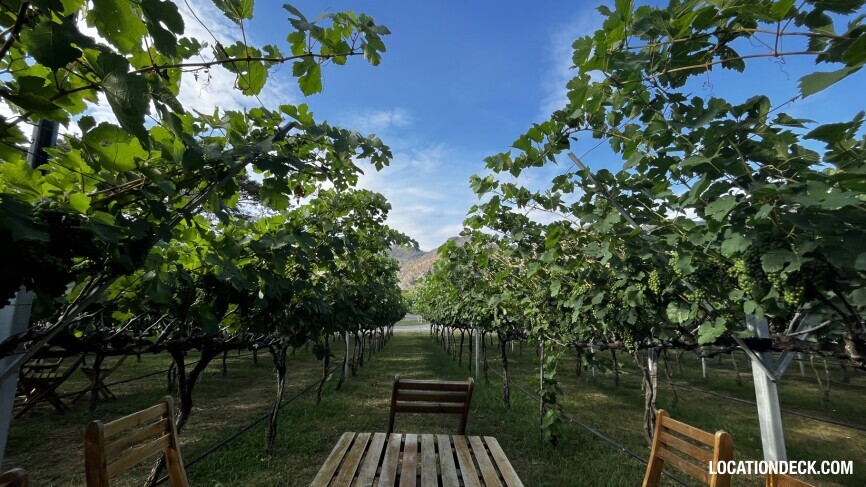 GranMonte Vineyard and Winery - Saraburi, Thailand Filming Location