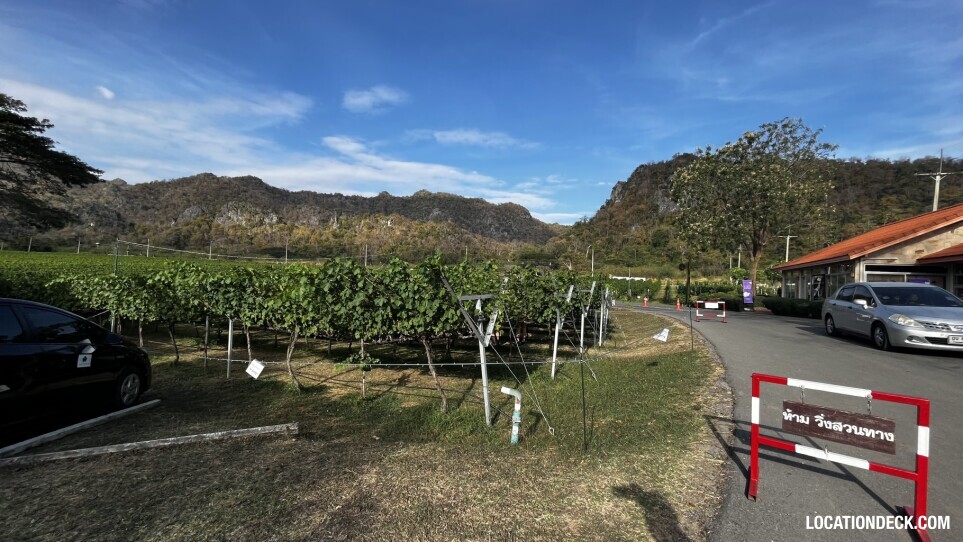 GranMonte Vineyard and Winery - Saraburi, Thailand Filming Location