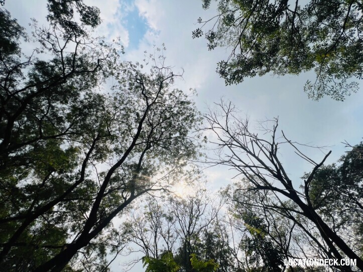 Suan Klin Kaew Forest - Nonthaburi, Thailand Filming Location