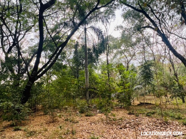 Suan Klin Kaew Forest - Nonthaburi, Thailand Filming Location