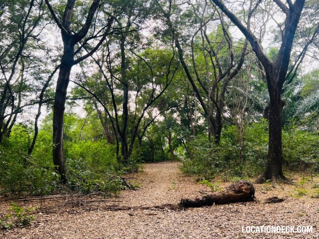 Suan Klin Kaew Forest - Nonthaburi, Thailand Filming Location